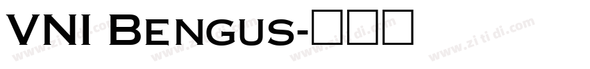 VNI Bengus字体转换